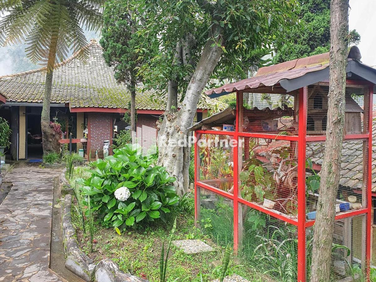 Hotel Yoschi'S Bromo At Desa Wisata Bromo Ngadisari Eksteriør bilde