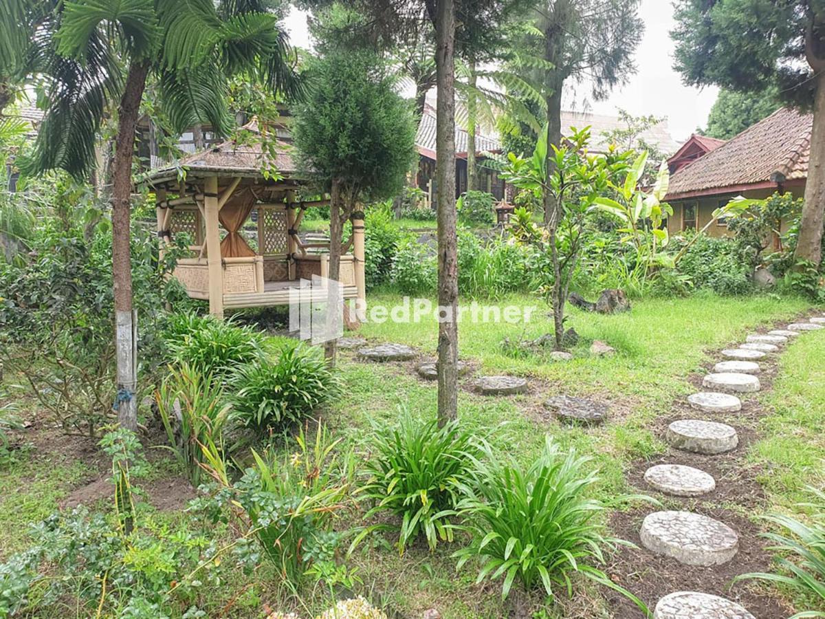 Hotel Yoschi'S Bromo At Desa Wisata Bromo Ngadisari Eksteriør bilde