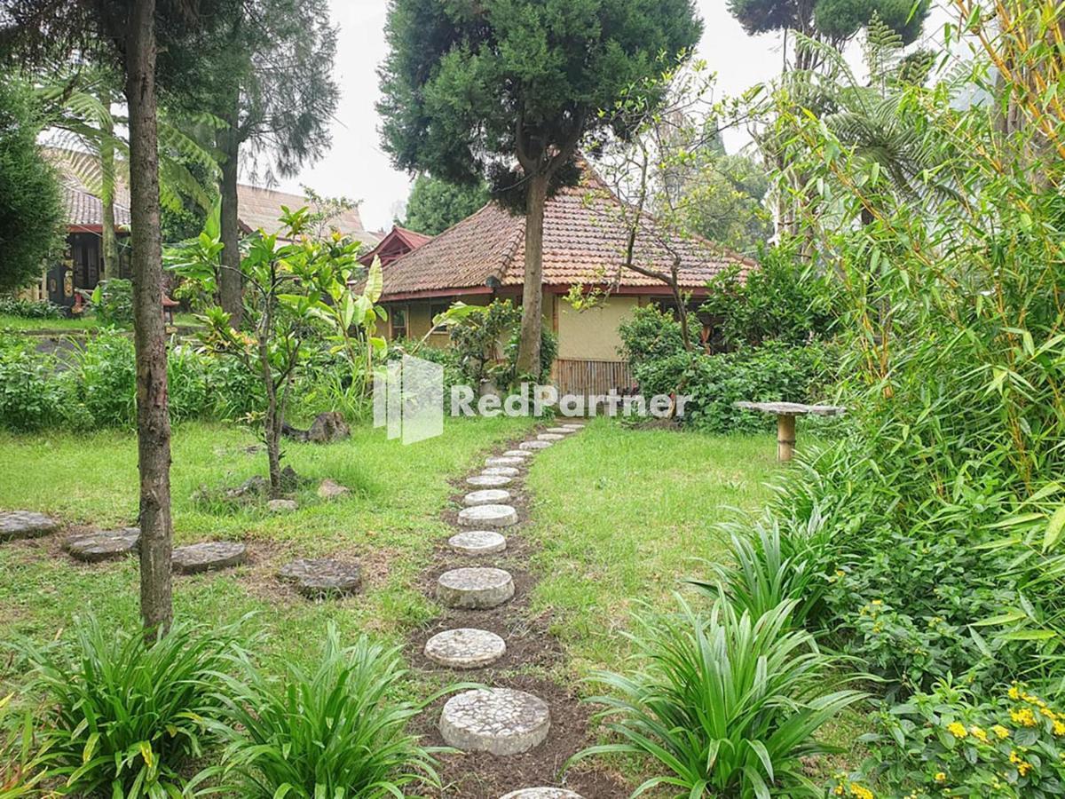 Hotel Yoschi'S Bromo At Desa Wisata Bromo Ngadisari Eksteriør bilde